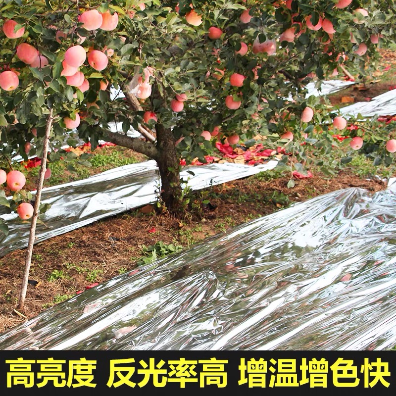 沈阳新民市po膜果树反光膜 - 方案